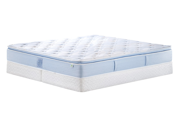 5599b5016e213dddca0b0ad58123be50